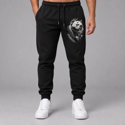 Pantaloni sport pentru bărbați / Pantaloni de trening - 268